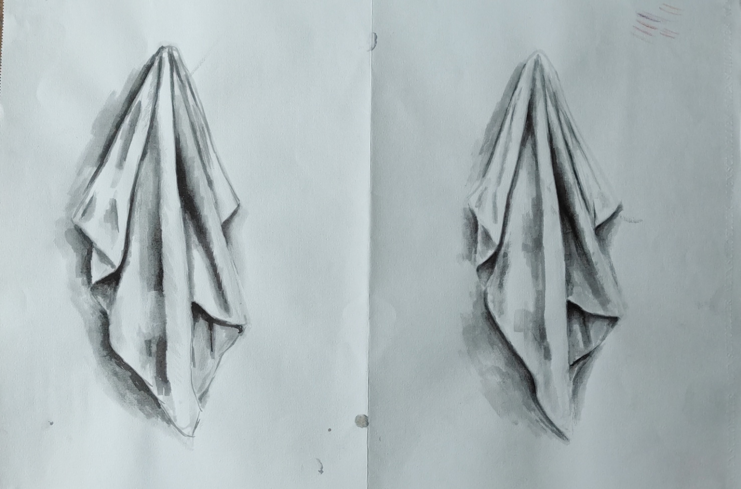 Natürmort Lavi 35x50